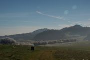 Majerz widok na Pieniny